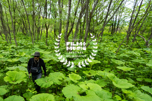 Official Selection: SilverVox Film & Music Festival 2026