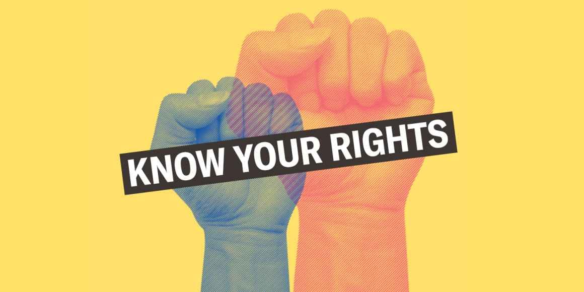 Training to assert your rights at No Kings 2.0