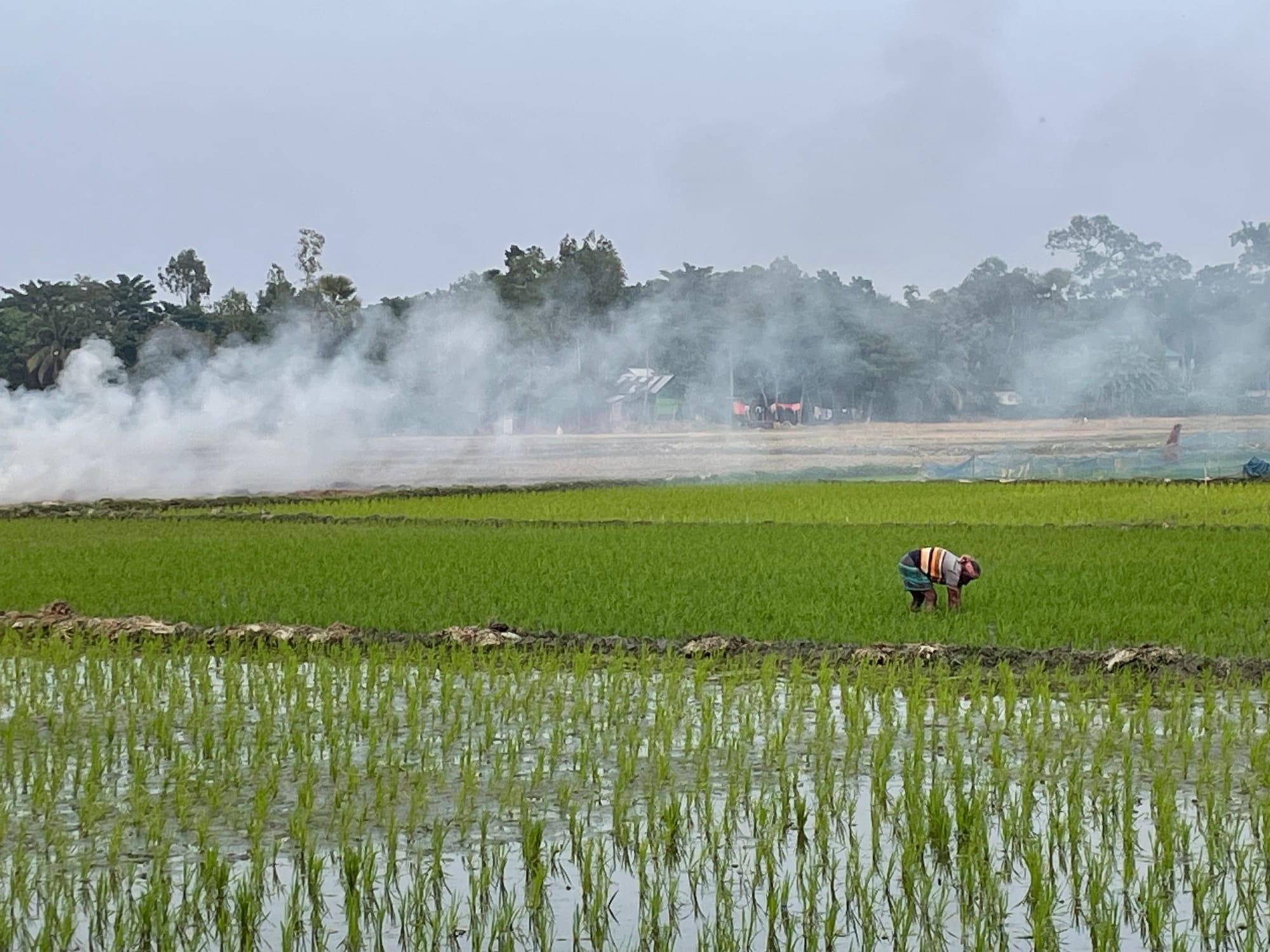 Debra’s Dhaka Dispatch #1