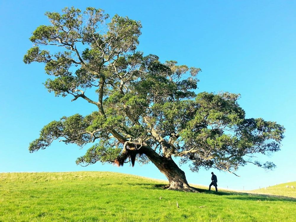 Stop Practising Mindfulness