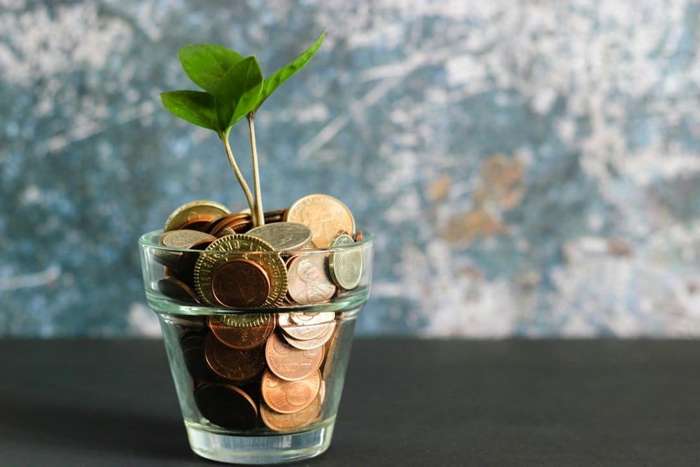 Keep It Cash—In 17 Syllables