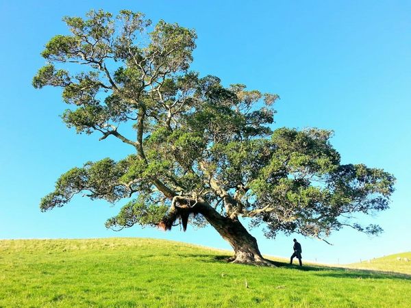 Stop Practising Mindfulness