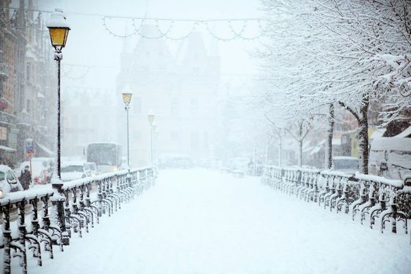 Sonnet for Jack Frost