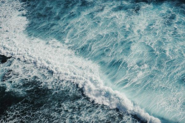 The Endless Sea of Subscription Services