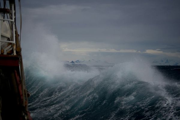 [Poem] Weathering The Storm