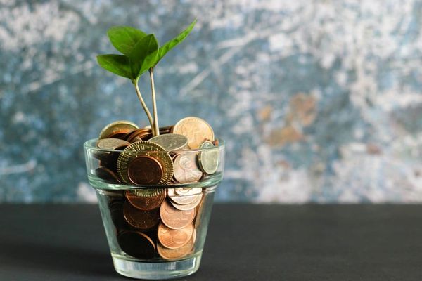 Keep It Cash—In 17 Syllables