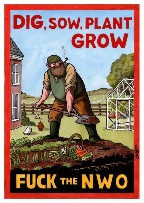 DIG 200.jpg