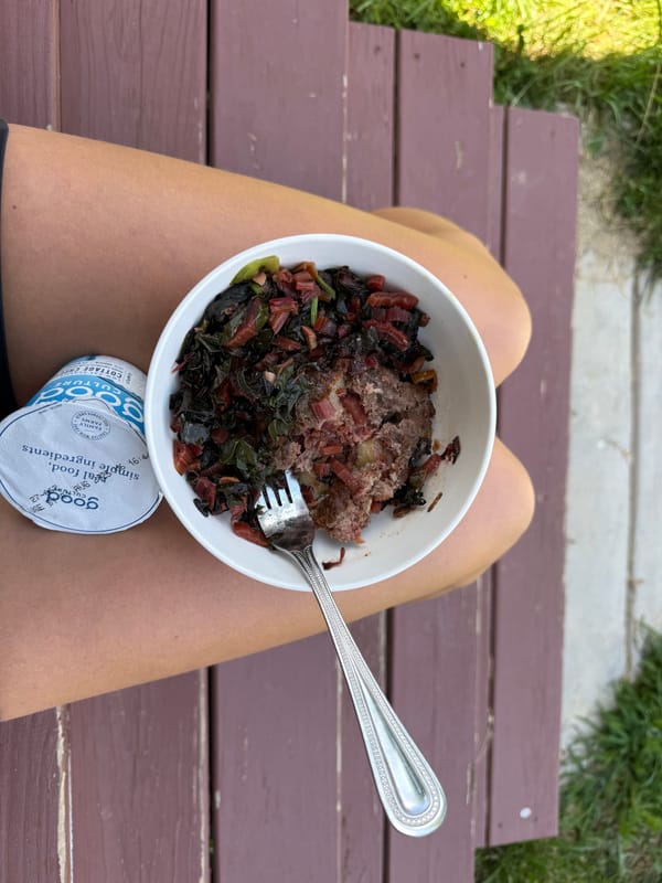 what does 100 grams of protein look like in a day?