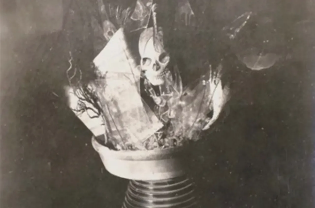 vintage photo of an assemblage of twigs, leaves, papers, and a skull