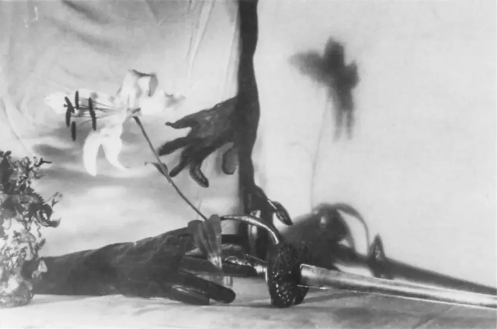 vintage photograph of an assemblage of flowers, gloves, a sword, and shadows