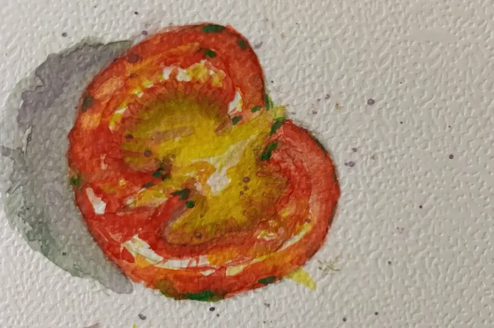Watercolor painting of a tomato sliced in half with the flat side up. The image is somewhat sensual.