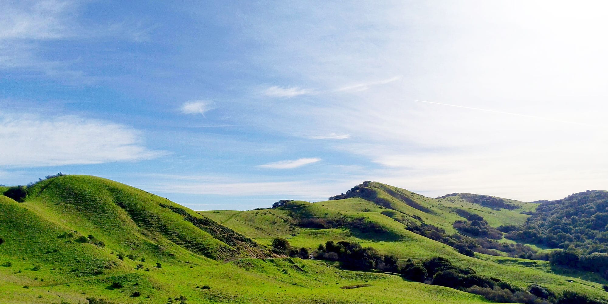 Still Rolling Outdoors — Motion as Medicine