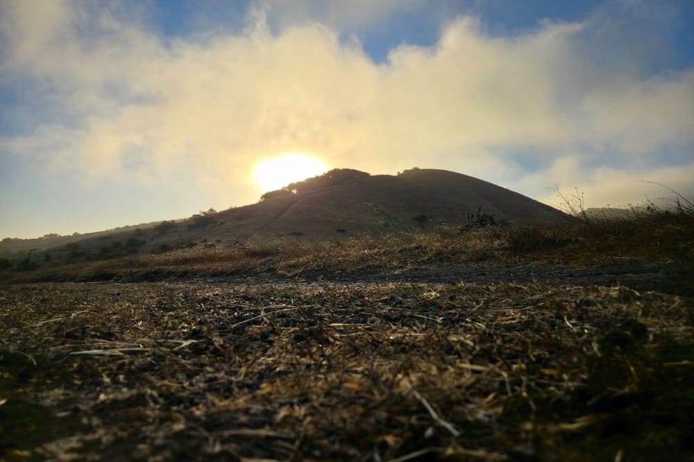 Soft morning fog over a brown hillside; low sun brightens the sky.