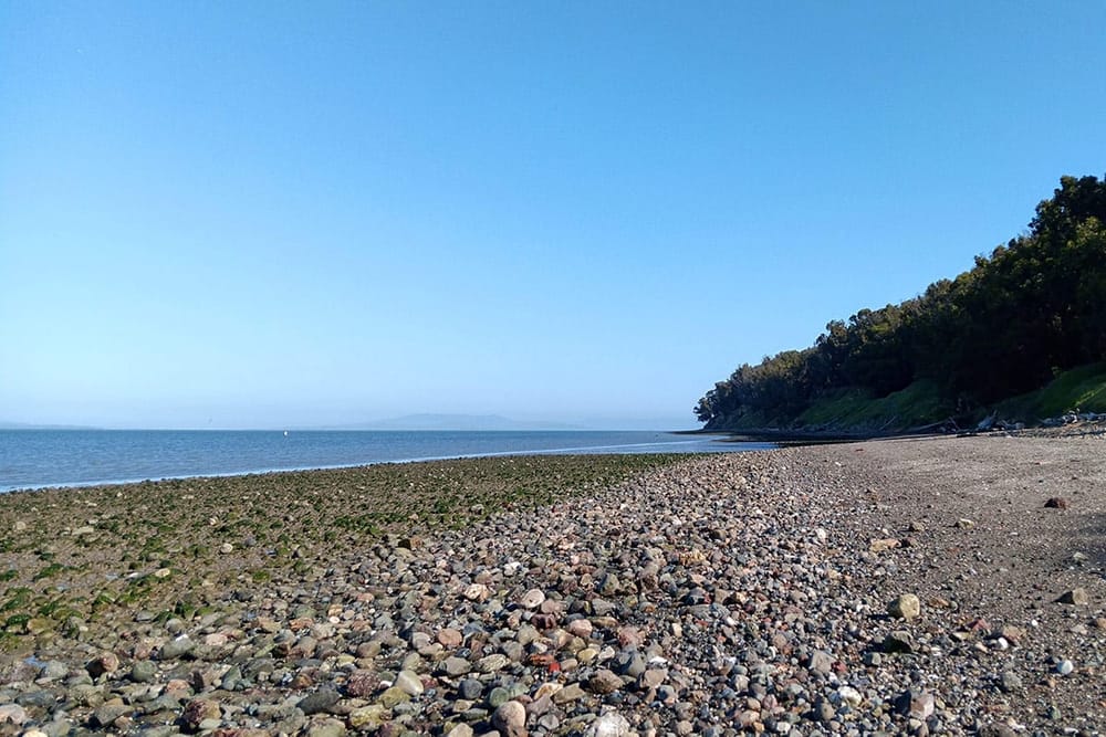 rocky beach at low tide
