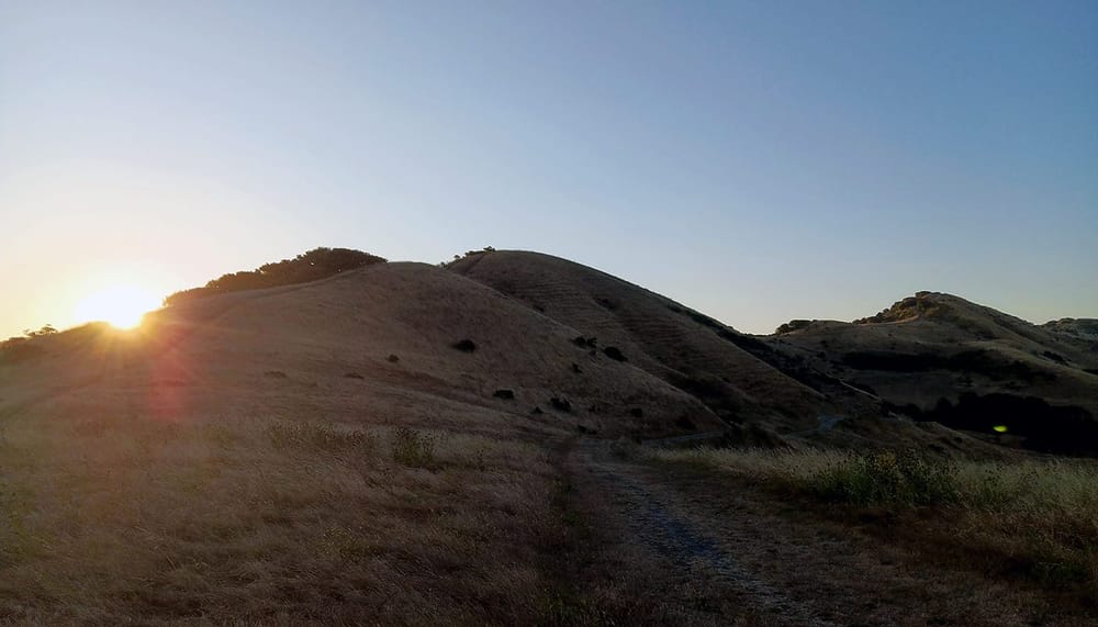 rolling hills at golden hour