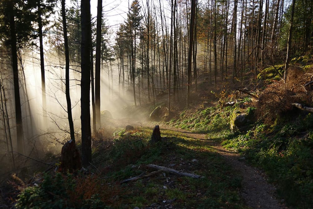 trail bending into light