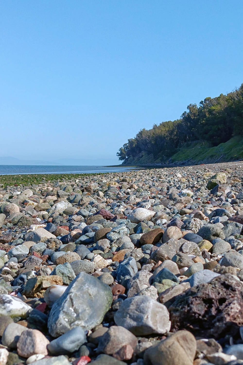 Rock-strewn beach, uneven but walkable.