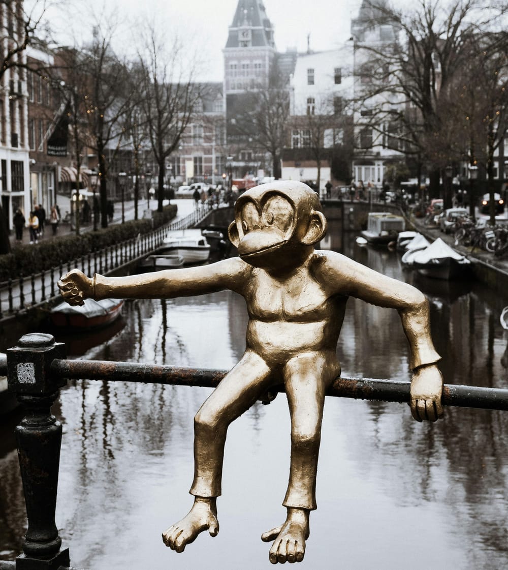 Monkey Arms