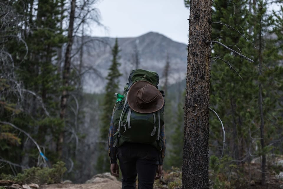 Backtrails & Fragments