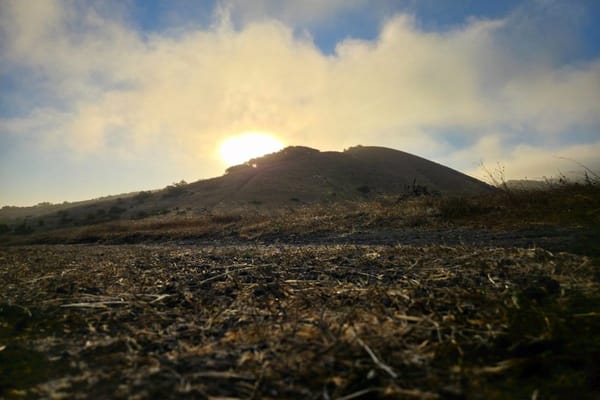 Soft morning fog over a brown hillside; low sun brightens the sky.