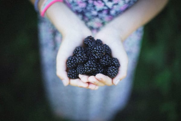 Blackberries & Grace