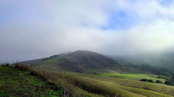 Fog lifting over rolling green hills, revealing layers of terrain emerging from mist under soft gray skies.