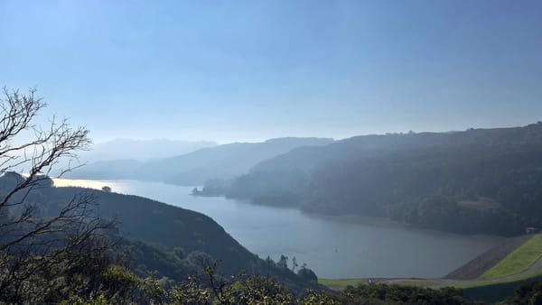 Adaptive Trailcraft: Re-Entry After Flare