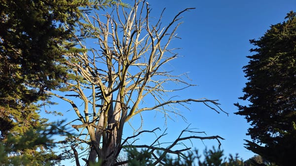 The Paradox of Necessary Grief