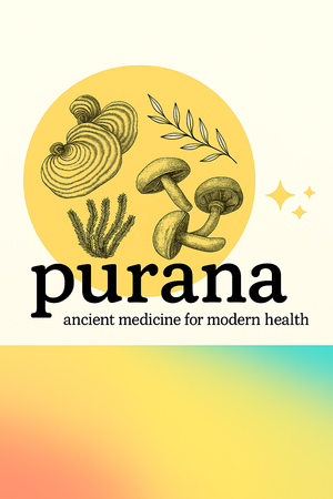 The Truth About Mushroom Extracts: Fruiting Bodies, Mycelium, and Medicinal Potency - Part 3