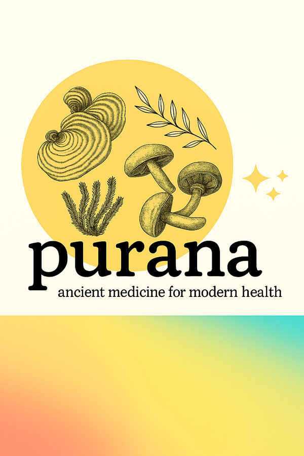 The Truth About Mushroom Extracts: Fruiting Bodies, Mycelium, and Medicinal Potency - Part 3