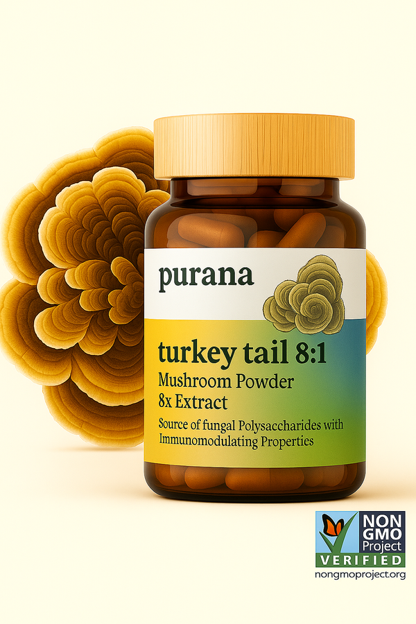 Turkey Tail: Nature's Multitasker for Gut, Lung, and Super Immune Health - Part 1