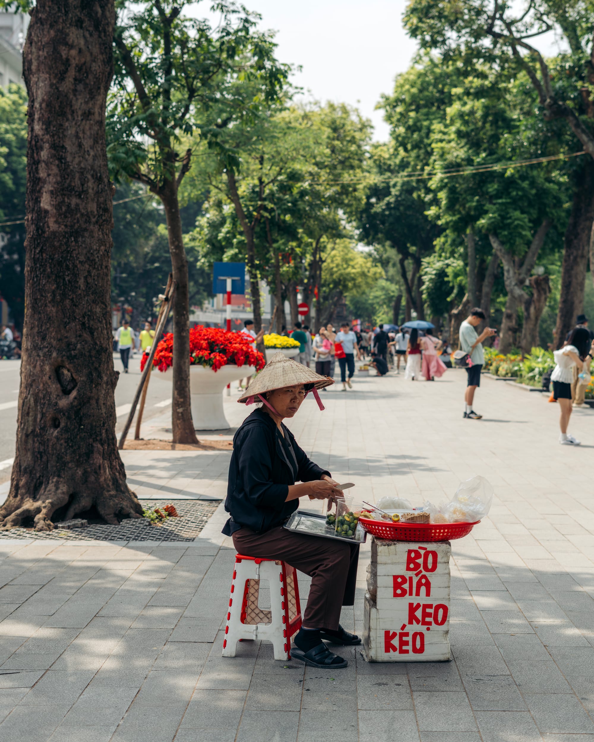 Hanoi Street Photography