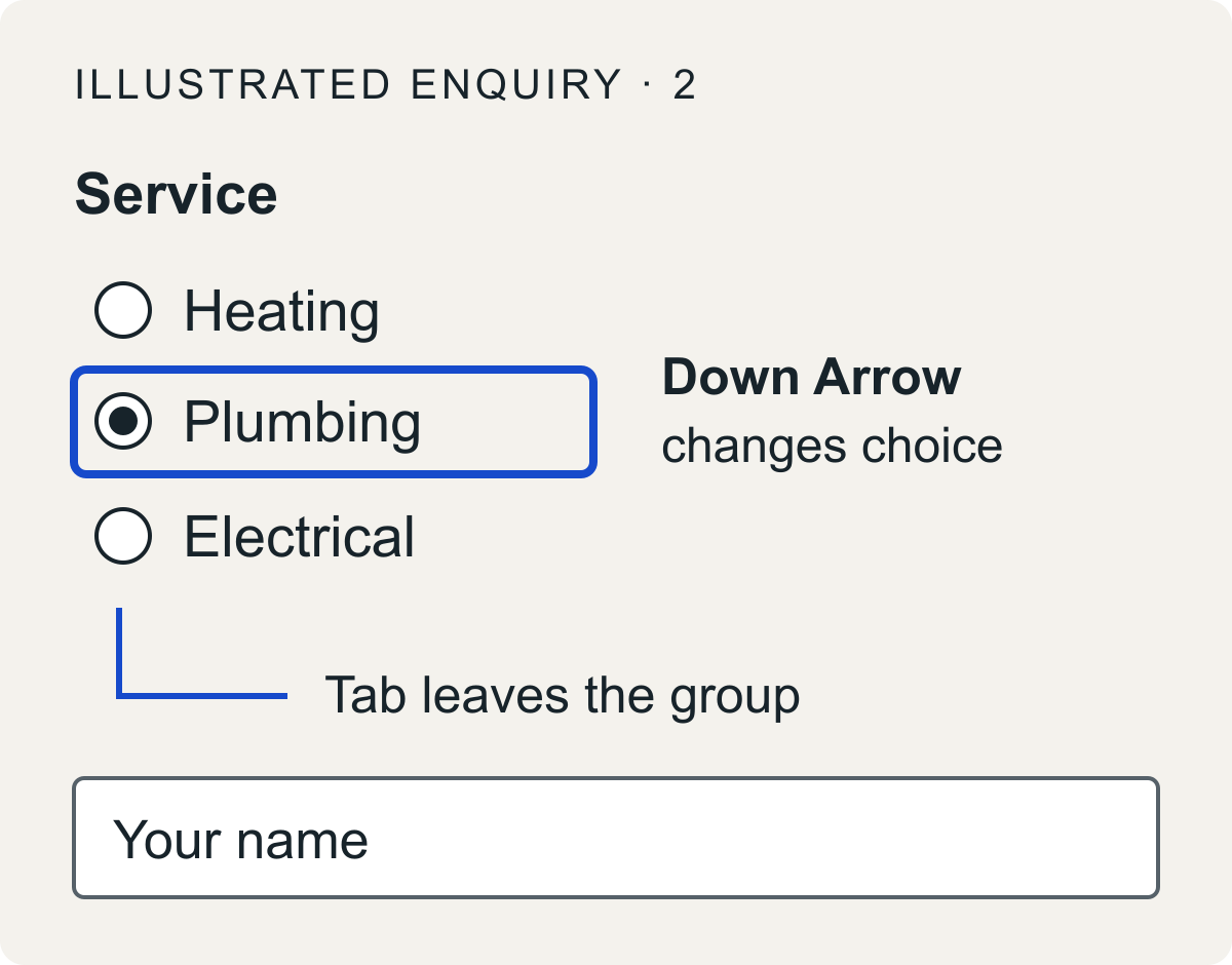 Three radio choices: Heating, Plumbing and Electrical. Plumbing is checked and outlined. Down Arrow changes the choice; Tab leaves the group for Your name.