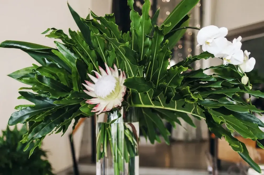 Josh Knight: Finding Peace Through Flowers