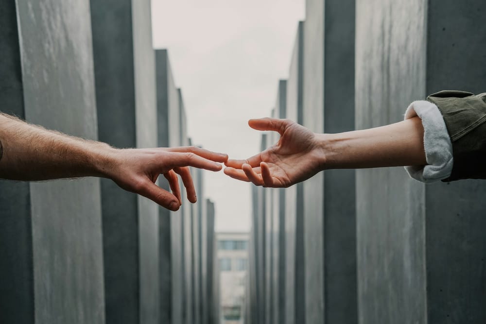 Seeing Pain, Feeling Connection