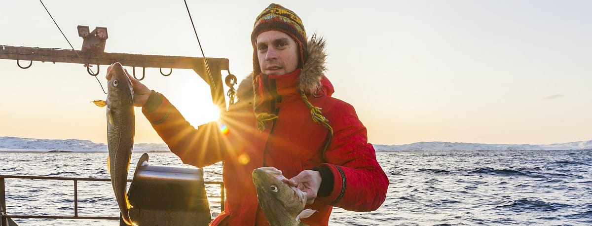 Rendyrket AP-regjering, pris viktigere enn bærekraft, Shady town går viralt,..
